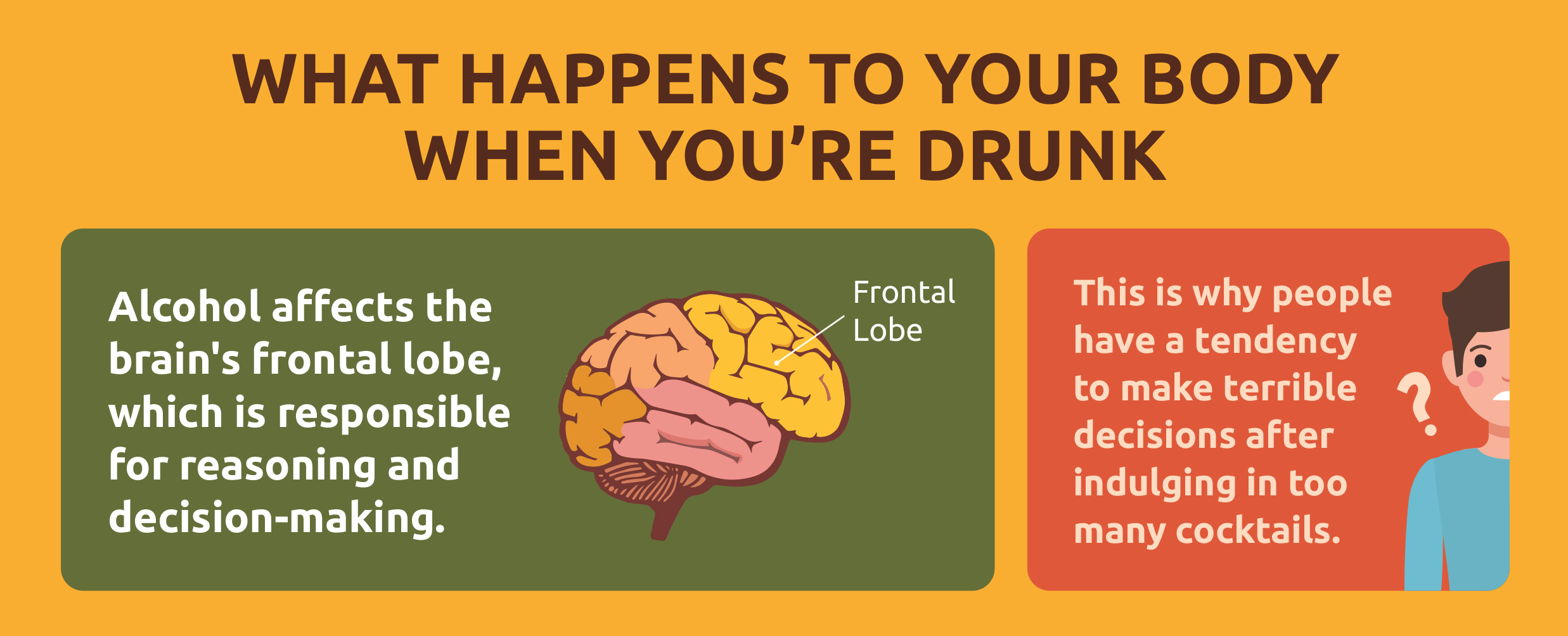 What Happens When You're Drunk (Infographic)